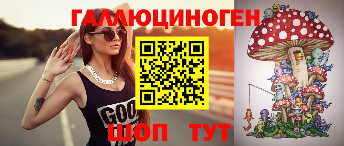 Псилоцибиновые грибы Psilocybe Азнакаево