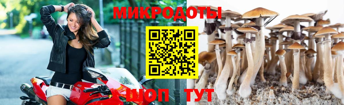 Азнакаево  Псилоцибиновые грибы Psilocybe  Вход с VPN 